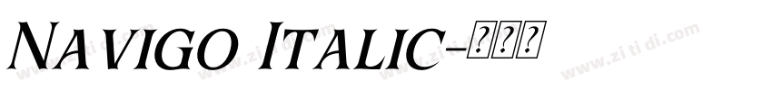 Navigo Italic字体转换